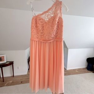 DAVID’S BRIDAL 🍑Lace Dress